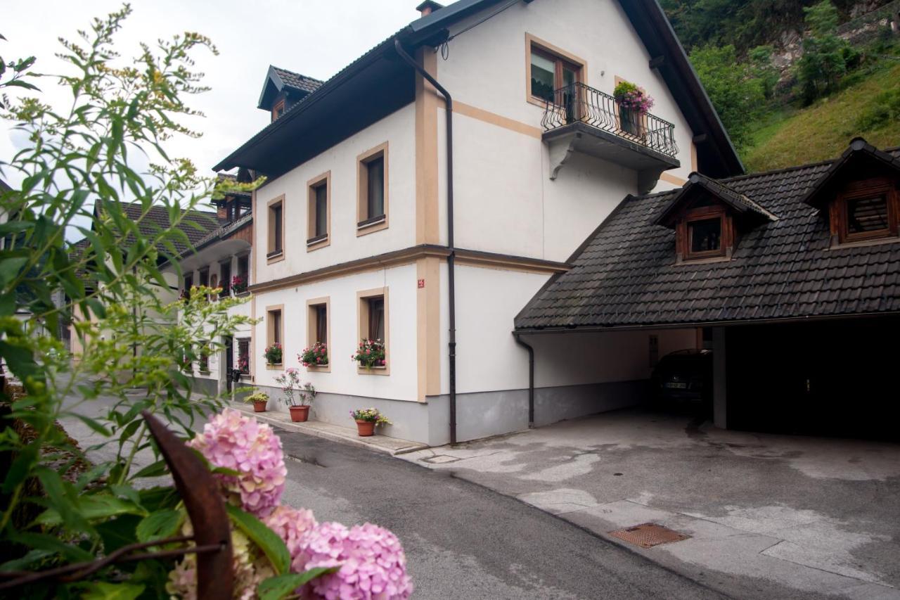 Apartma Ajda Zelezniki Bagian luar foto