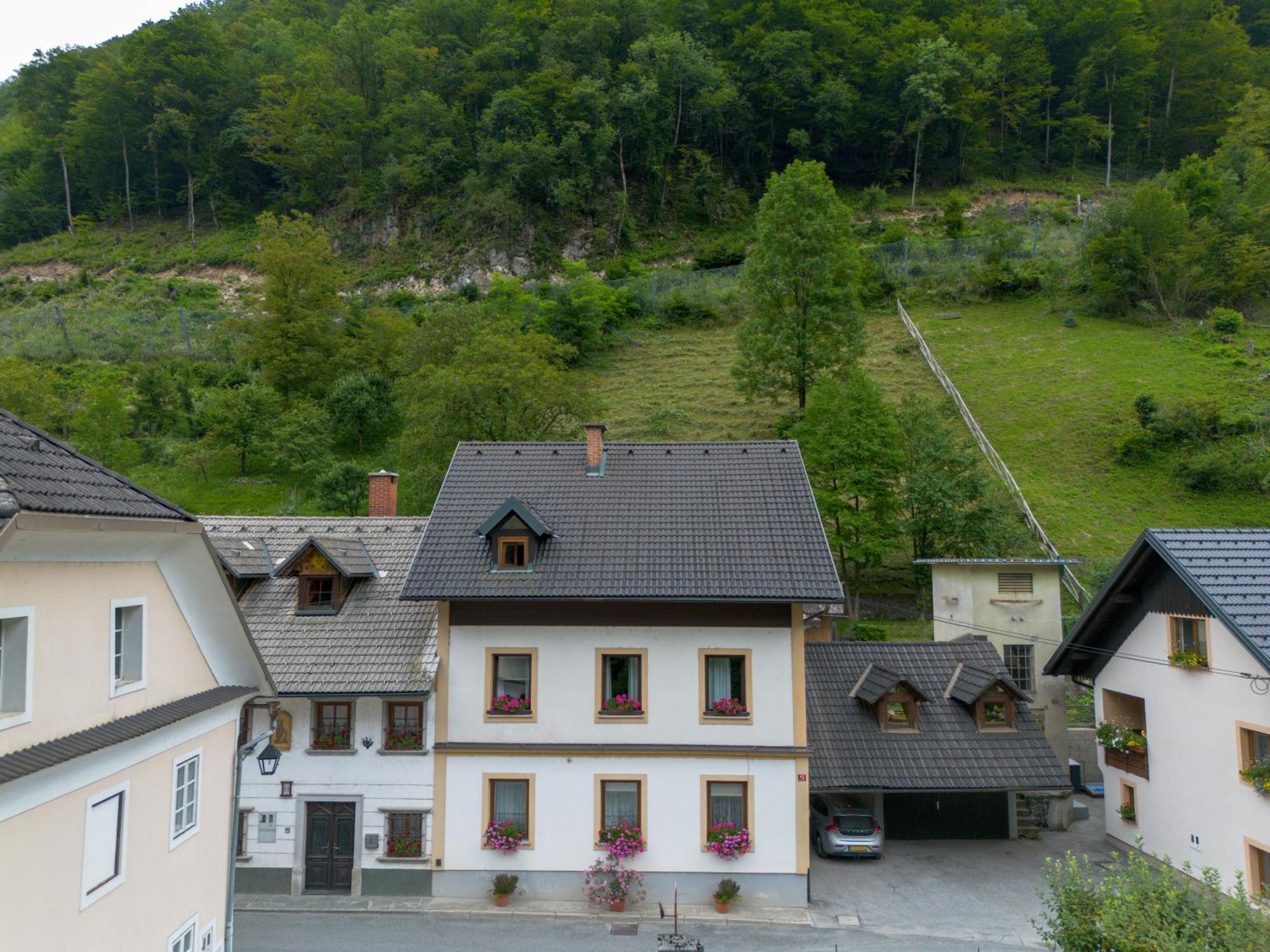 Apartma Ajda Zelezniki Bagian luar foto